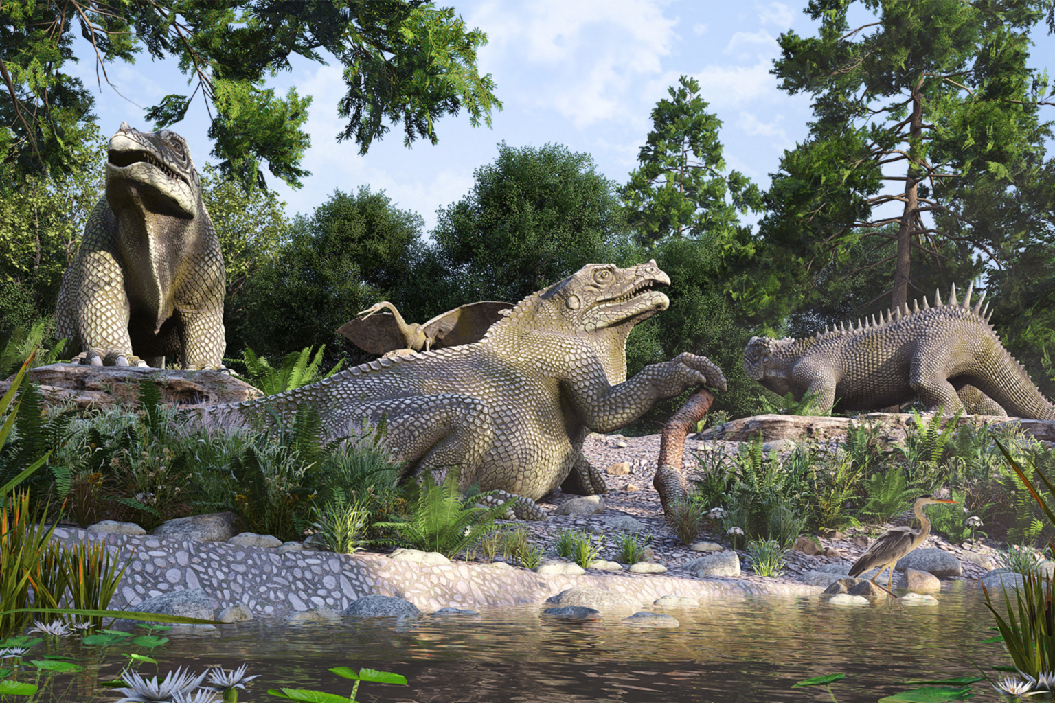 LBR_CPP_100_N31_cropped_2560x1707